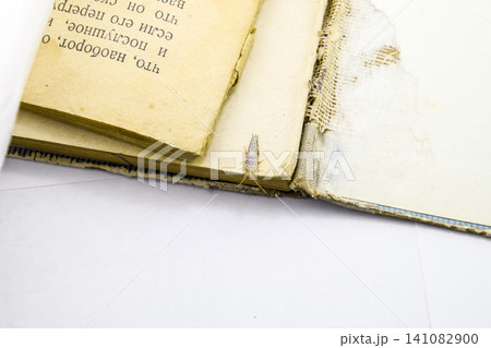 Pest books and newspapers. Insect feeding on paper - silverfish Pest books and newspapers. Insect feeding on paper - silverfish 141082900