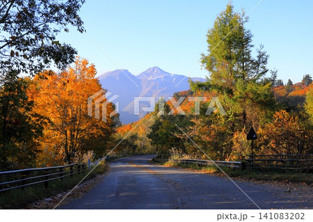 秋の裏磐梯 磐梯吾妻レークラインから望む磐梯山/福島県 耶麻郡 北塩原村 秋の裏磐梯 磐梯吾妻レークラインから望む磐梯山/福島県 耶麻郡 北塩原村 141083202