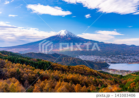 【山梨県】カラマツの黄葉と富士山 【山梨県】カラマツの黄葉と富士山 141083406