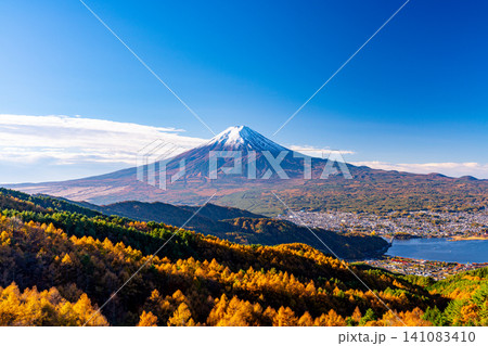 【山梨県】カラマツの黄葉と富士山 【山梨県】カラマツの黄葉と富士山 141083410
