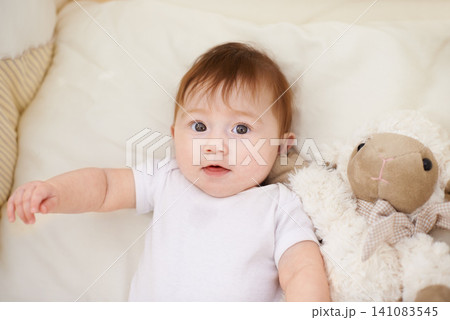 Baby, bed and portrait with sheep in home, above and healthy with growth, development and wellness in morning. Infant, child and newborn with lamb doll, soft toys and relax in nursery at family house 141083545