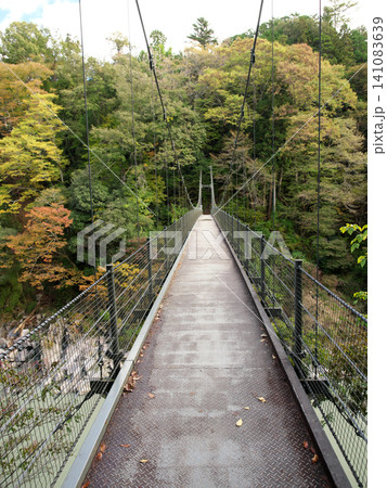 秋の天竜峡のつつじ橋 秋の天竜峡のつつじ橋 141083639