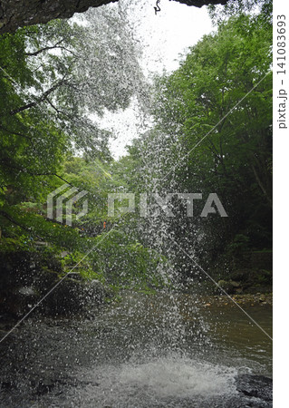 水のカーテンを仰ぐ 月待の滝の裏側から見上げる新緑の木々と美しく降り注ぐ清涼な水しぶき 水のカーテンを仰ぐ 月待の滝の裏側から見上げる新緑の木々と美しく降り注ぐ清涼な水しぶき 141083693