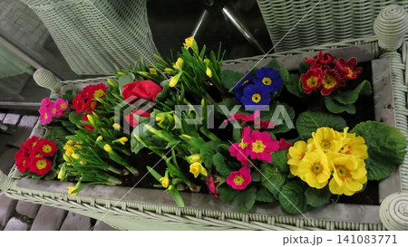 Vibrant Spring Floral Display in Wicker Planter 141083771