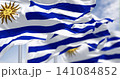 Uruguay national flags fluttering in the wind on a sunny day 141084852