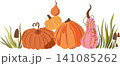 Autumn pumpkin patch composition with grass and mushrooms vector illustration 141085262