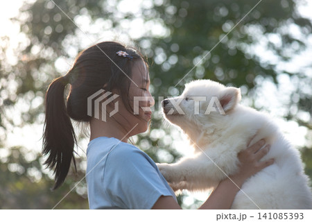 A happy Asian girl looking affectionately at a cute fluffy white puppy, outdoor natural light, friendship and love concept. A happy Asian girl looking affectionately at a cute fluffy white puppy, outdoor natural light, friendship and love concept. 141085393