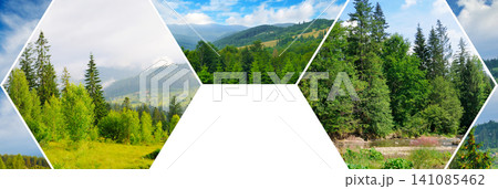 Mountain Forest Landscape Photo Collage in Hexagonal Frames Beautiful Summer Nature Collage with Coniferous Trees and Hills 141085462