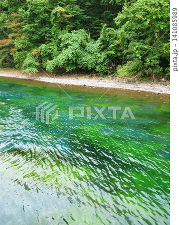 支笏湖の緑に輝く湖水と森 141085989