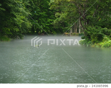 雨の池に浮かぶ苔岩と霧 雨の池に浮かぶ苔岩と霧 141085996