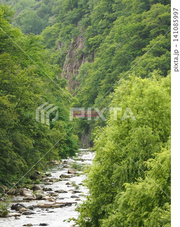 定山渓の渓谷と赤い橋 緑深い夏 定山渓の渓谷と赤い橋 緑深い夏 141085997
