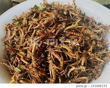 Fried Grasshoppers Crispy Insect Snack Thai Street Food Market Fried Grasshoppers Crispy Insect Snack Thai Street Food Market 141086155