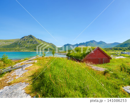 Traditional Norwegian house with a moss roof on a coastal meadow under the midnight sun. 141086253