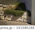 Stone retaining wall with green plants and shrubs. 141086288