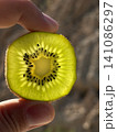 Hand holding translucent kiwi slice in sun. 141086297