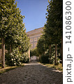 Cobblestone Path Lined with Green Trees Leading to a Building 141086300