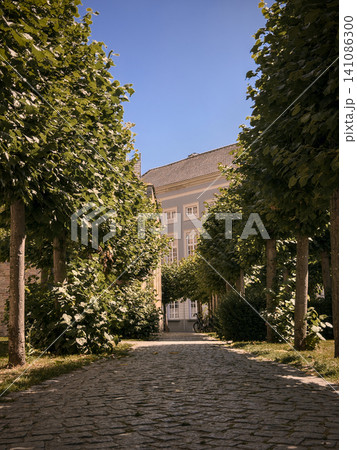 Cobblestone Path Lined with Green Trees Leading to a Building Cobblestone Path Lined with Green Trees Leading to a Building 141086300