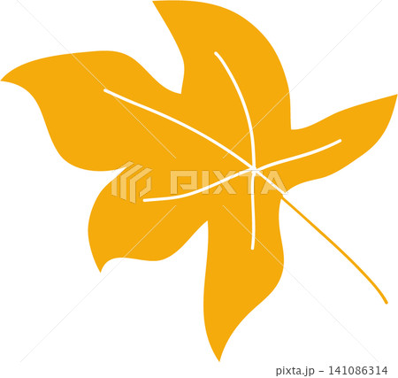 autumn leaf on white background autumn leaf on white background 141086314