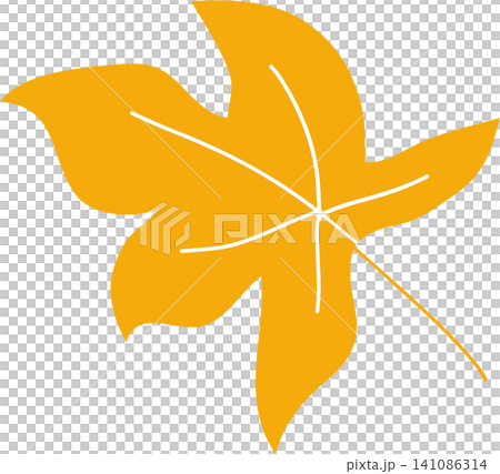 autumn leaf on white background autumn leaf on white background 141086314