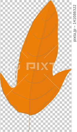 autumn leaf isolated on white background 141086322