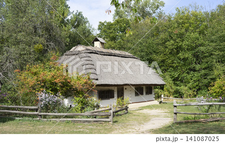 Rustic peasant house with thatched roof surrounded by lush greenery in the medieval countryside 141087025