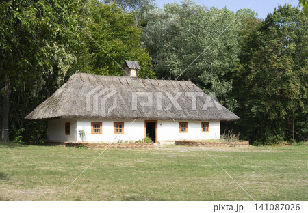 Quaint peasant house from the middle ages with thatched roof nestled in a lush forest 141087026