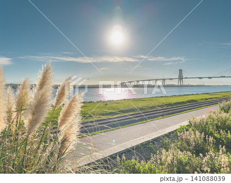 Edgar Cardoso bridge with a suspended section over a port with shipping containers over the Mondego River in Figueira da Foz with a railway track and a bike lane alongside, Portugal. Edgar Cardoso bridge with a suspended section over a port with shipping containers over the Mondego River in Figueira da Foz with a railway track and a bike lane alongside, Portugal. 141088039