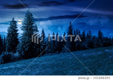 mysterious landscape with coniferous forest in summer at night. fantasy view of mountain landscape in poland. full moon over scenic spruce trees on a grassy alpine meadow. dark sky above the ridge mysterious landscape with coniferous forest in summer at night. fantasy view of mountain landscape in poland. full moon over scenic spruce trees on a grassy alpine meadow. dark sky above the ridge 141088305