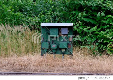 Weathered green industrial electrical box overgrown with tall dry grass and green bushes Weathered green industrial electrical box overgrown with tall dry grass and green bushes 141088397
