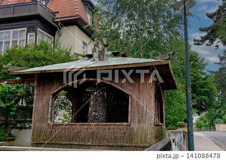 Small rustic wooden decorative hut built around a birch tree trunk in a public park Small rustic wooden decorative hut built around a birch tree trunk in a public park 141088478