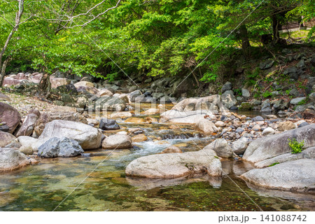 美しい渓谷 宮妻峡《三重県 四日市市》 美しい渓谷 宮妻峡《三重県 四日市市》 141088742