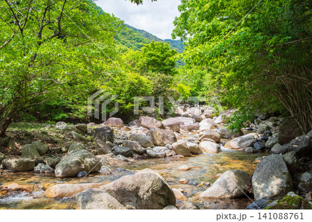 美しい渓谷 宮妻峡《三重県 四日市市》 美しい渓谷 宮妻峡《三重県 四日市市》 141088761