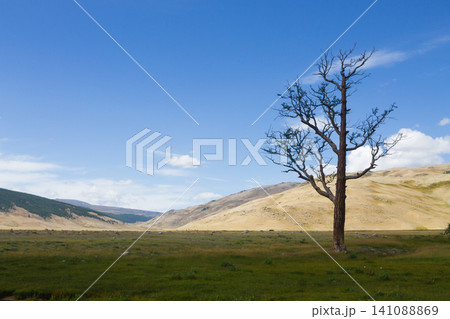 Landscape from Altai Tavan Bogd National Park, Mongolia 141088869