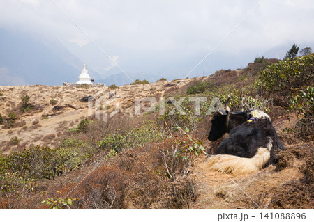Nepal landscape in Khumjung village area, EBC 141088896