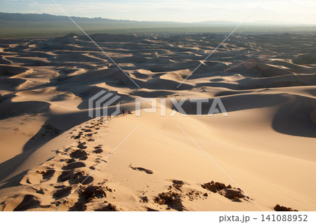 Khongoryn Els sand dunes landscape, Mongolia. Gobi desert 141088952