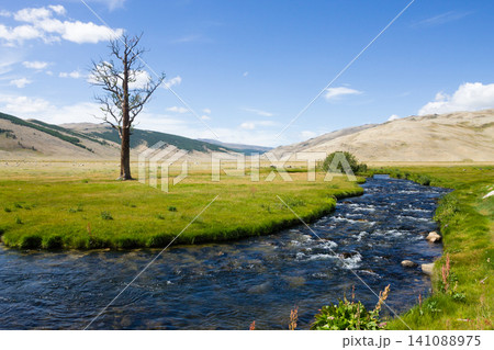 Landscape from Altai Tavan Bogd National Park, Mongolia Landscape from Altai Tavan Bogd National Park, Mongolia 141088975
