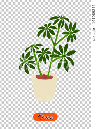シェフレラの鉢植え 水彩風手描きベクターイラスト シェフレラの鉢植え 水彩風手描きベクターイラスト 141089253
