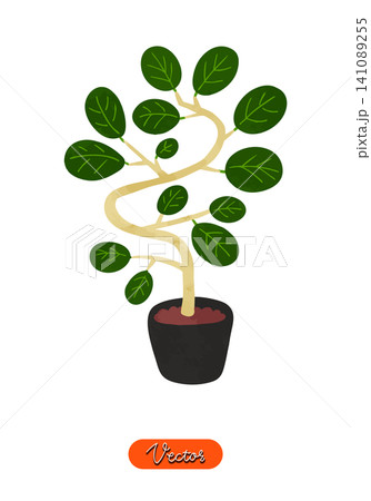 フィカス・ベンガレンシスの鉢植え 水彩風手描きベクターイラスト フィカス・ベンガレンシスの鉢植え 水彩風手描きベクターイラスト 141089255