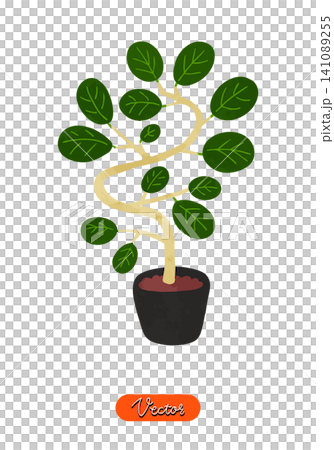 フィカス・ベンガレンシスの鉢植え 水彩風手描きベクターイラスト フィカス・ベンガレンシスの鉢植え 水彩風手描きベクターイラスト 141089255