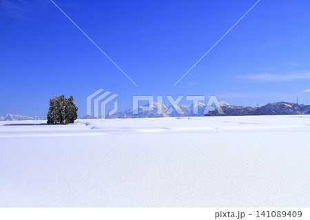 小千谷池ヶ原雪原・越後三山雪景色風景 小千谷池ヶ原雪原・越後三山雪景色風景 141089409