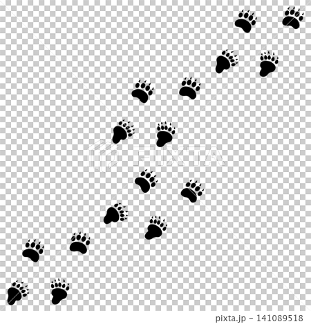 斜めに続くクマの足あとのアイコン 斜めに続くクマの足あとのアイコン 141089518