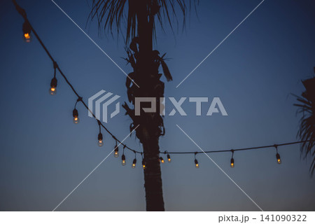 String lights hanging between palm trees at twilight String lights hanging between palm trees at twilight 141090322