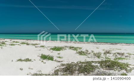 White sand dunes with sparse vegetation by turquoise ocean White sand dunes with sparse vegetation by turquoise ocean 141090400