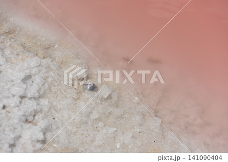 Wedding ring resting on white salt crystals Wedding ring resting on white salt crystals 141090404