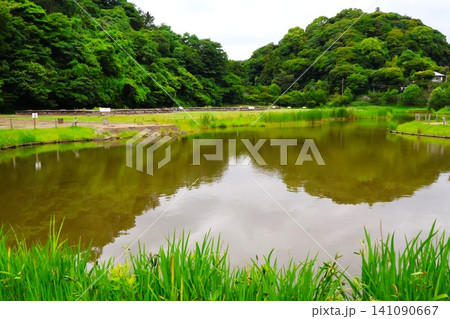 史跡永福寺跡(神奈川県鎌倉市二階堂) 史跡永福寺跡(神奈川県鎌倉市二階堂) 141090667
