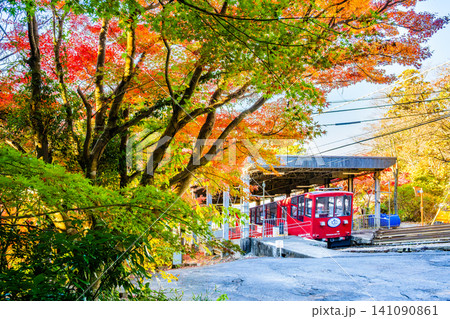 茨城 紅葉の筑波山 茨城 紅葉の筑波山 141090861