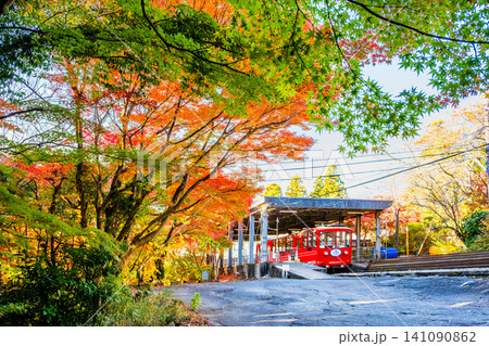 茨城 紅葉の筑波山 茨城 紅葉の筑波山 141090862
