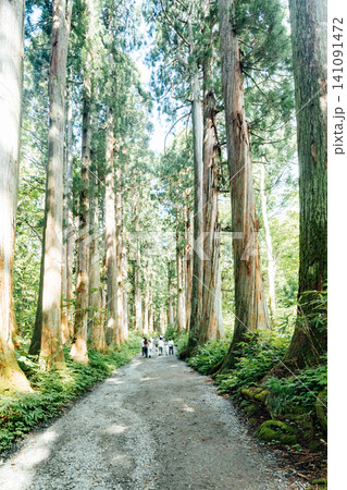 【長野市戸隠】戸隠神社奥社 杉並木の参道の風景と観光客 【長野市戸隠】戸隠神社奥社 杉並木の参道の風景と観光客 141091472