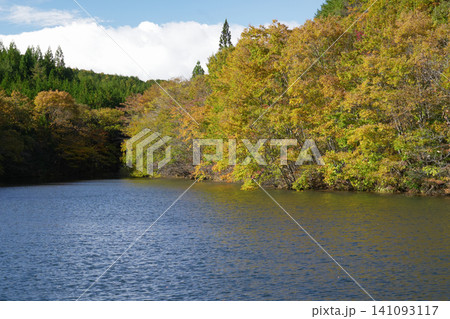 福島県_相馬市東玉野_農業用溜池 福島県_相馬市東玉野_農業用溜池 141093117