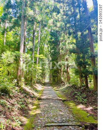 木漏れ日に包まれた杉並木の石畳参道 木漏れ日に包まれた杉並木の石畳参道 141093197